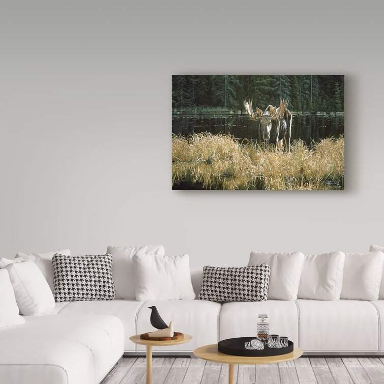 Ron Parker Autumn Foraging Moose On Canvas Print